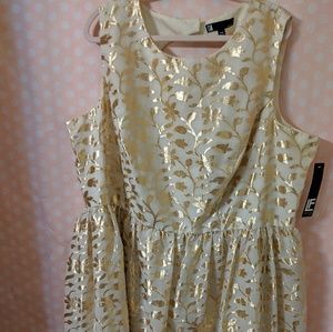 Cream and Gold Metallic Dress